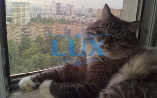 металлическая сетка антикошка - фото № 9